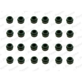 Jeu de joints d'étanchéité, tige de soupape PAYEN