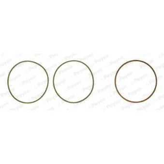 Jeu de joints d'étanchéité, chemise de cylindre PAYEN