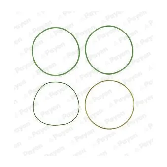 Jeu de joints d'étanchéité, chemise de cylindre PAYEN