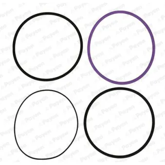 Jeu de joints d'étanchéité, chemise de cylindre PAYEN