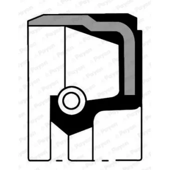 Bague d'étanchéité, vilebrequin PAYEN