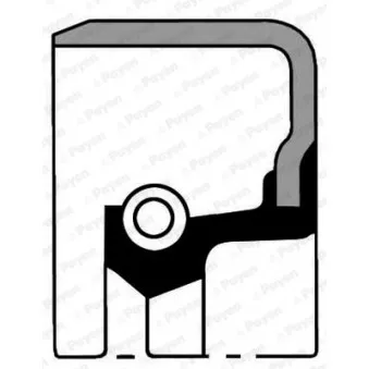 Bague d'étanchéité, vilebrequin PAYEN