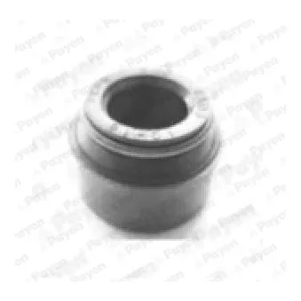 Bague d'étanchéité, tige de soupape PAYEN