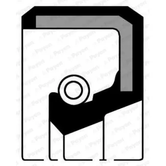 Bague d'étanchéité, vilebrequin PAYEN