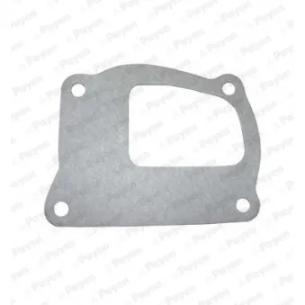 Joint d'étanchéité, pompe à eau PAYEN