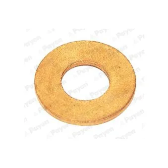 Bague d'étanchéité, porte-injecteur PAYEN