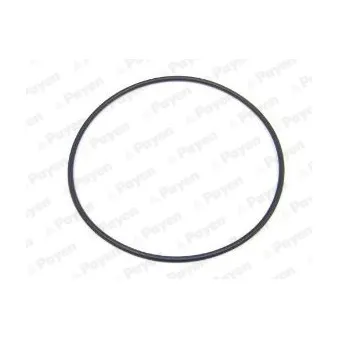 Joint d'étanchéité, chemise de cylindre PAYEN