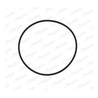 Joint d'étanchéité, chemise de cylindre PAYEN