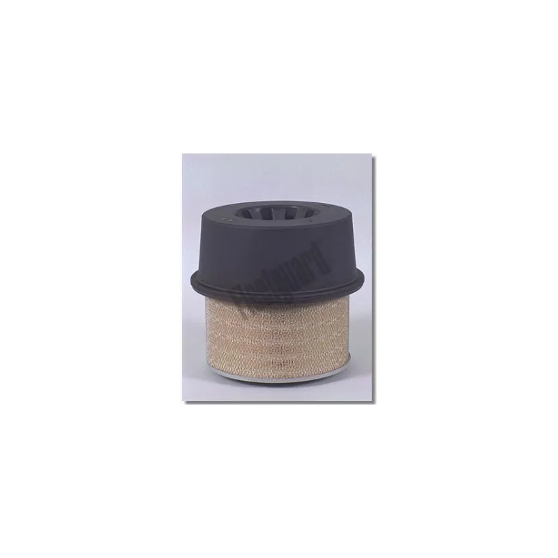 Filtre à air FLEETGUARD AF1812