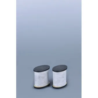 Filtre à air FLEETGUARD