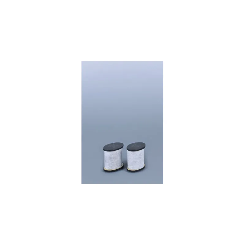 Filtre à air FLEETGUARD AS2495