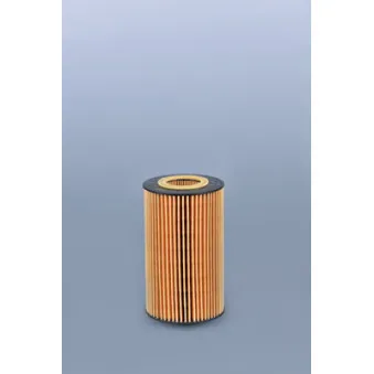 Filtre à huile FLEETGUARD