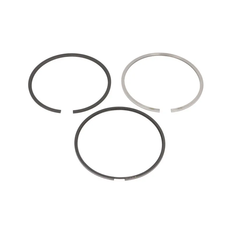 Jeu de segments de pistons KOLBENSCHMIDT 800076010000