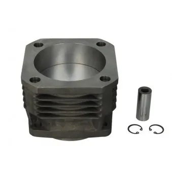 Kit de réparation, Piston/Chemise de cylindre KOLBENSCHMIDT 94919960