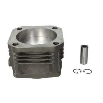 Kit de réparation, Piston/Chemise de cylindre KOLBENSCHMIDT 94919962