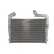 Intercooler, échangeur THERMOTEC DASC006TT - Visuel 2