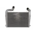 Intercooler, échangeur THERMOTEC DASC006TT - Visuel 1