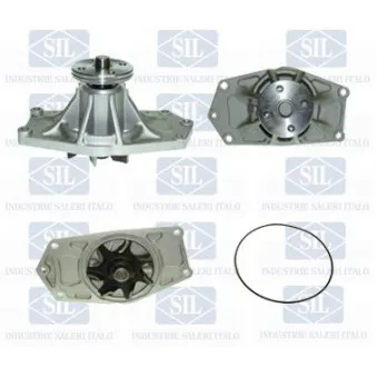 Pompe à eau Saleri SIL