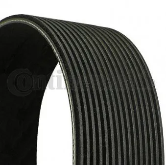 Courroie trapézoïdale à nervures CONTITECH