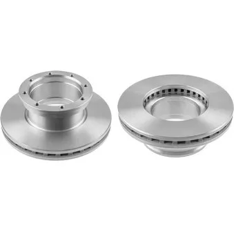 Jeu de 2 disques de frein arrière TRW DF5031S