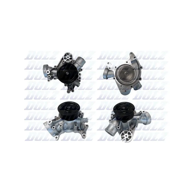 Pompe à eau DOLZ R621