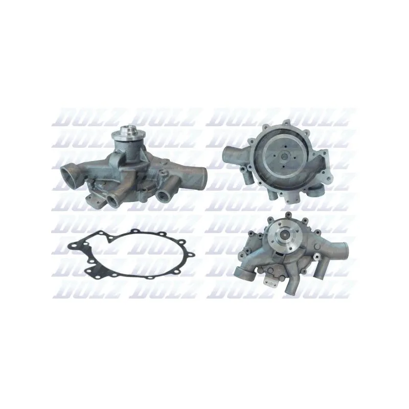 Pompe à eau DOLZ D319
