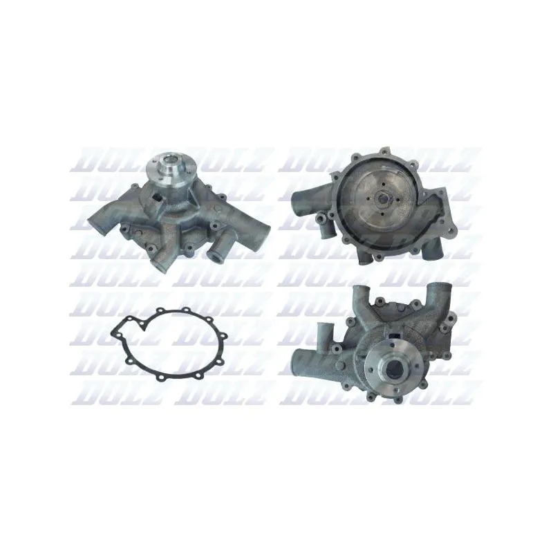 Pompe à eau DOLZ D320