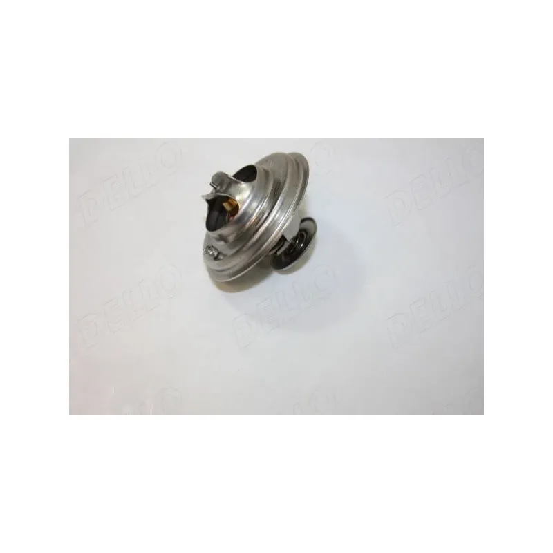 Thermostat d'eau AUTOMEGA 160024510