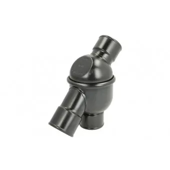 Thermostat d'eau THERMOTEC D2MA003TT