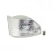 Feu clignotant avant gauche DT 4.63499 - Visuel 1