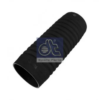 Durite de radiateur DT 4.80253