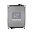 Radiateur, refroidissement du moteur DT 3.16217 - Visuel 1