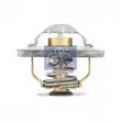 Thermostat, liquide de refroidissement DT 7.60215 - Visuel 1
