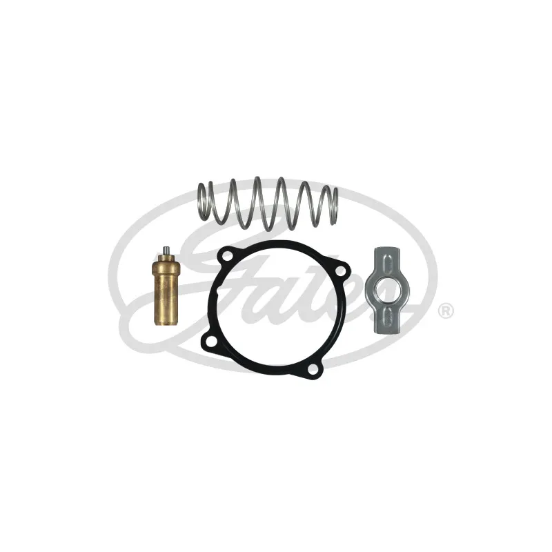 Thermostat d'eau GATES TH62079G1