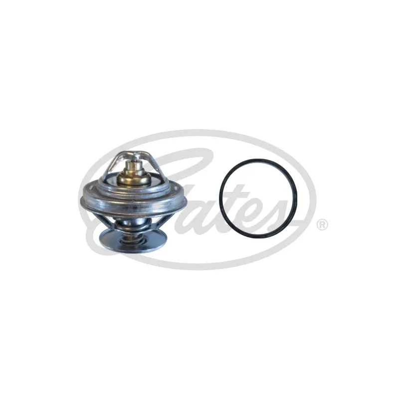 Thermostat d'eau GATES TH61879G1