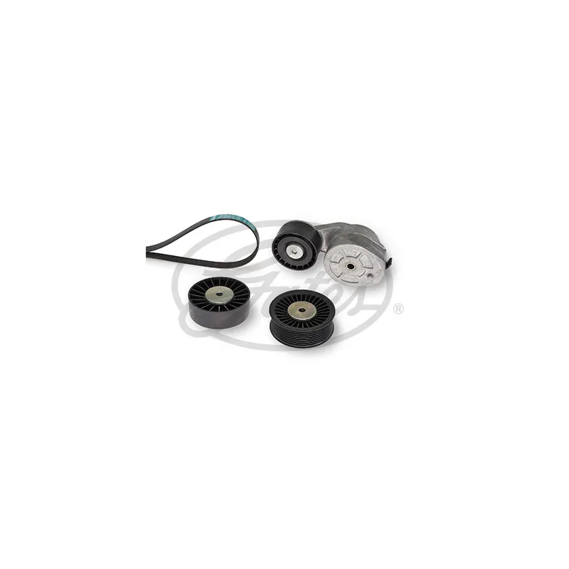 Jeu de courroies trapézoïdales à nervures GATES K038PK1795HD