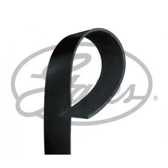 Courroie trapézoïdale à nervures GATES 15PK955HD