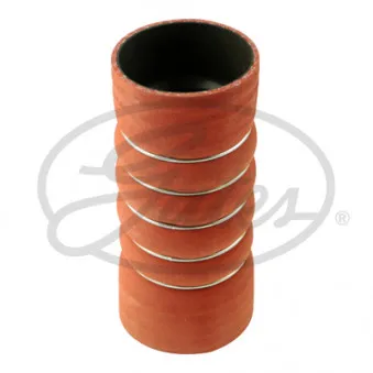 Gaine de suralimentation GATES