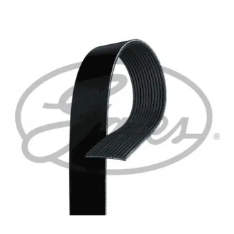 Courroie trapézoïdale à nervures GATES 12PK1400HD