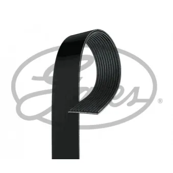 Courroie trapézoïdale à nervures GATES 11PK1920HD