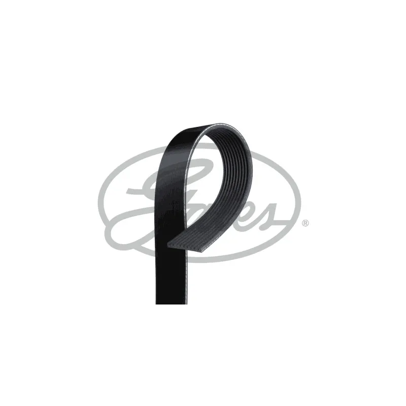 Courroie trapézoïdale à nervures GATES 10PK1520HD