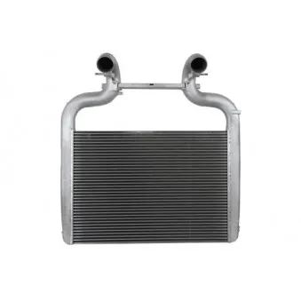 Intercooler, échangeur THERMOTEC DADA003TTR