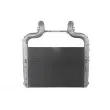 Intercooler, échangeur THERMOTEC DADA003TTR - Visuel 2