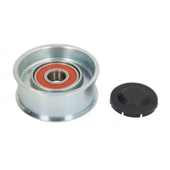 Poulie-tendeur, courroie trapézoïdale à nervures BTA B05-02-105