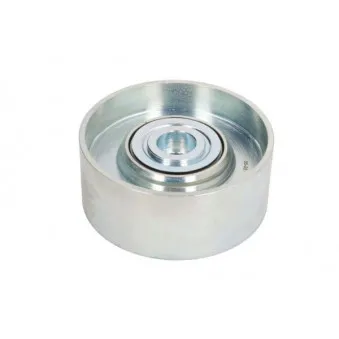 Poulie renvoi/transmission, courroie trapézoïdale à nervures BTA B05-02-109