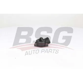 Boîtier du thermostat BSG