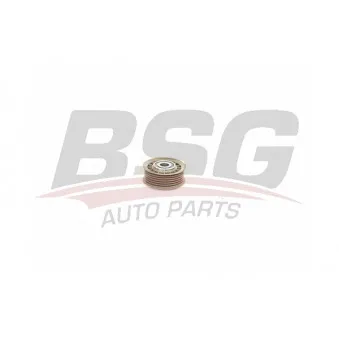 Poulie renvoi/transmission, courroie trapézoïdale à nervures BSG
