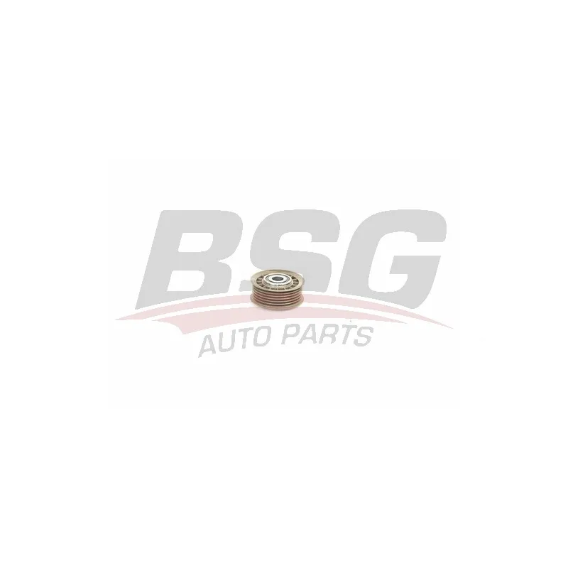 Poulie renvoi/transmission, courroie trapézoïdale à nervures BSG BSG 60-615-003