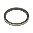 Bague d'étanchéité, moyeu de roue BTA B06-2152 - Visuel 1