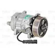 Compresseur, climatisation VALEO 813010 - Visuel 1